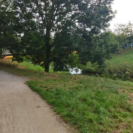 Exceptional Short-term